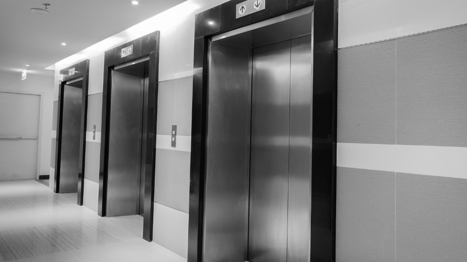 Güzelyalı Asansör Firmaları, Asansör Firmaları Güzelyalı , Güzelyalı Asansör Firması,  Asansör Firması Güzelyalı , Güzelyalı Asansör Bakımı, Asansör Bakımı Güzelyalı